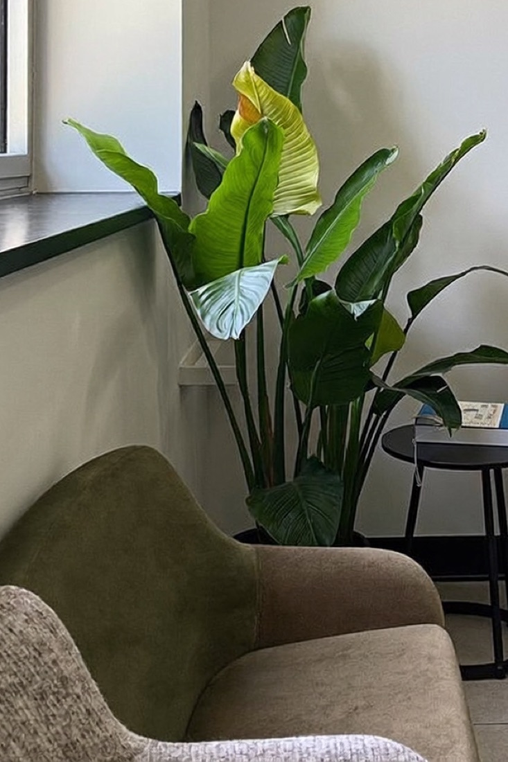 The waiting lounge